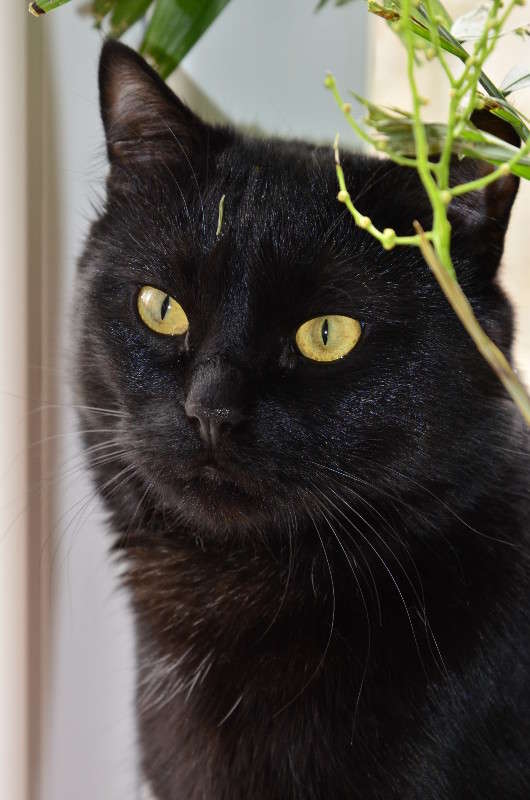 ���� ����� ����� � �� PhotoGeek.ru #�������� ���