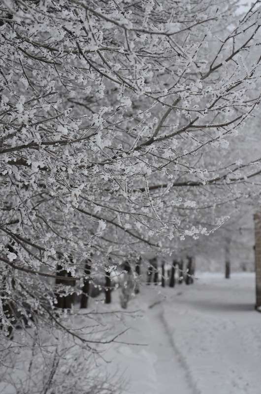 ... ����� ����� � �� PhotoGeek.ru #������ ��� �������