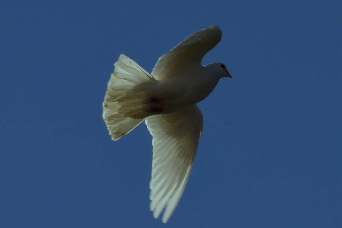 ... ����� ����� � �� PhotoGeek.ru #�������� ���