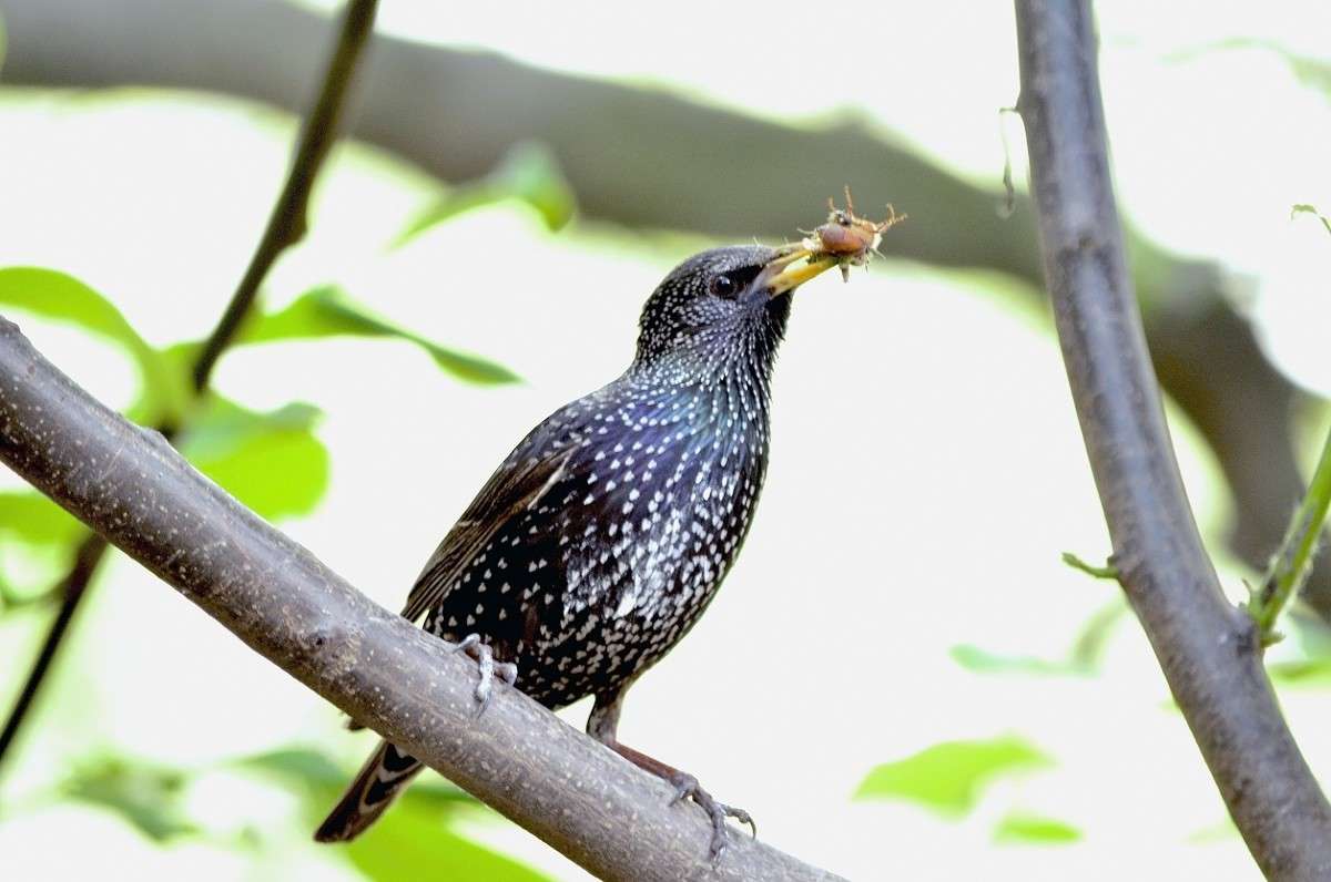 ... ����� ����� � �� PhotoGeek.ru #�������� ���