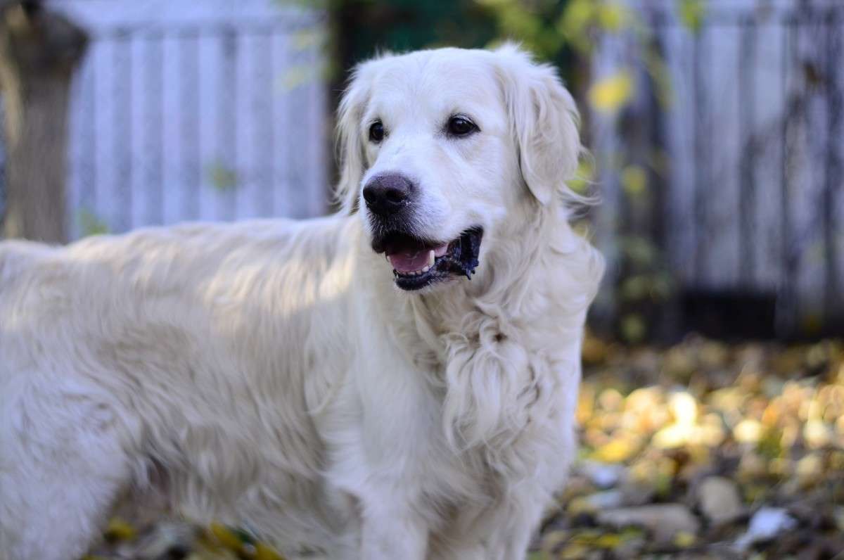 ... ����� ����� � �� PhotoGeek.ru #�������� ���