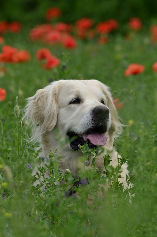 ����� ����� ����� � �� PhotoGeek.ru #�������� ���