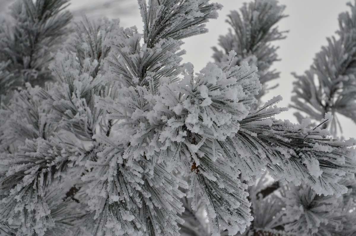 ... ����� ����� � �� PhotoGeek.ru #������ ��� �������