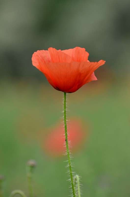 ... ����� ����� � �� PhotoGeek.ru #������ ��� �������