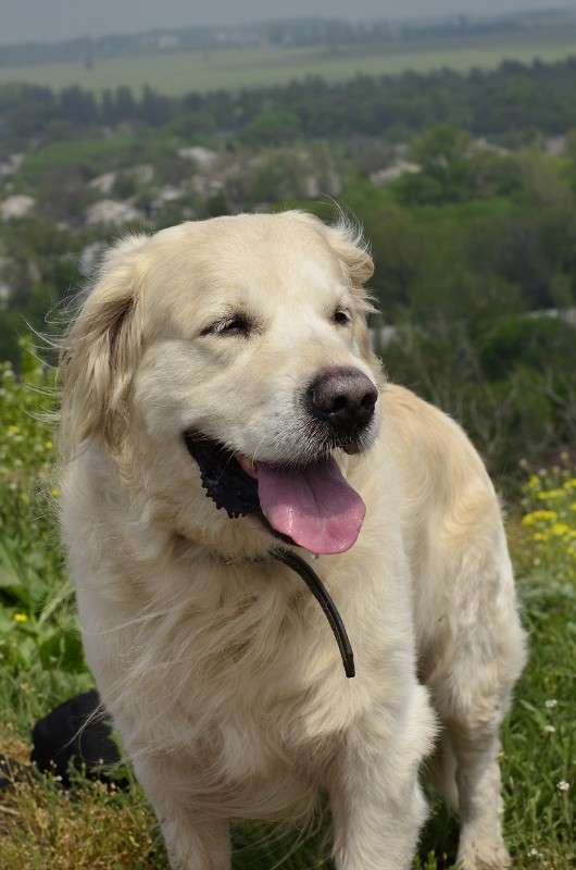 ����� ����� ����� � �� PhotoGeek.ru #�������� ���