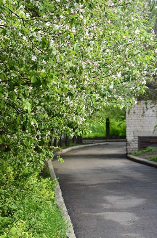 ... ����� ����� � �� PhotoGeek.ru #������ ��� �������