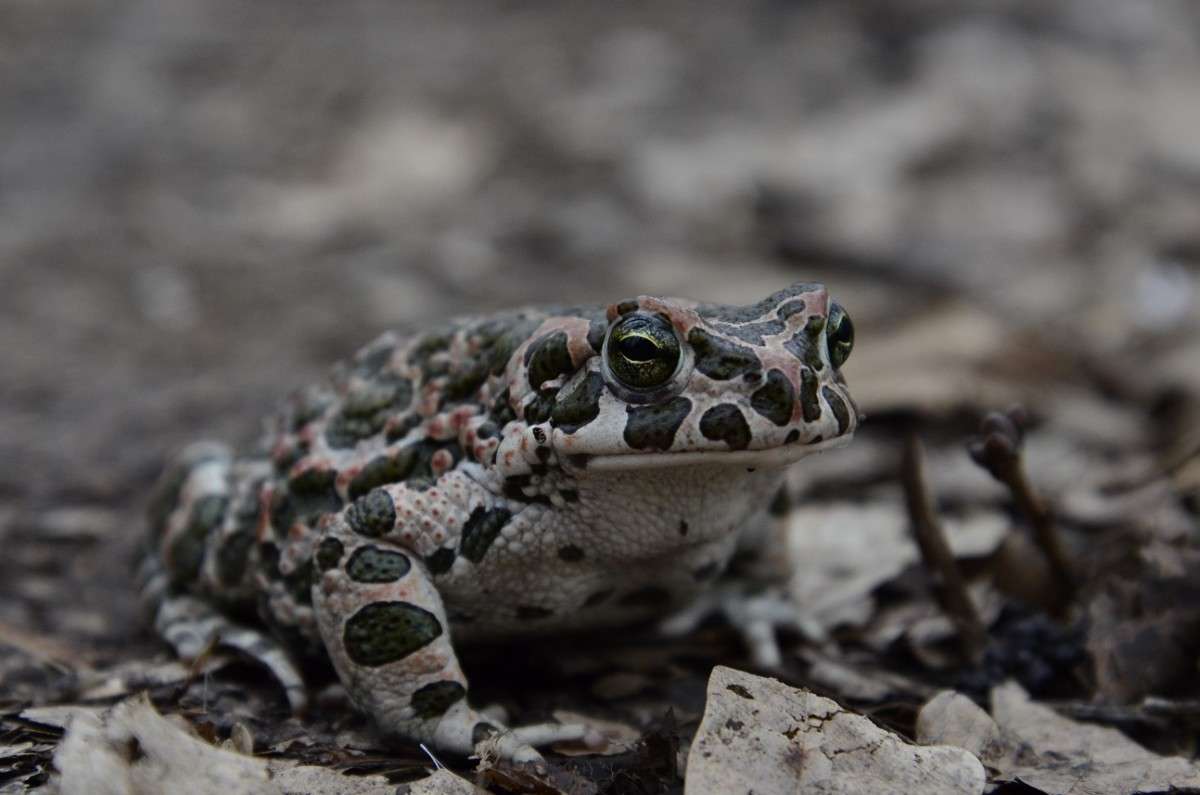 ... ����� ����� � �� PhotoGeek.ru #�������� ���