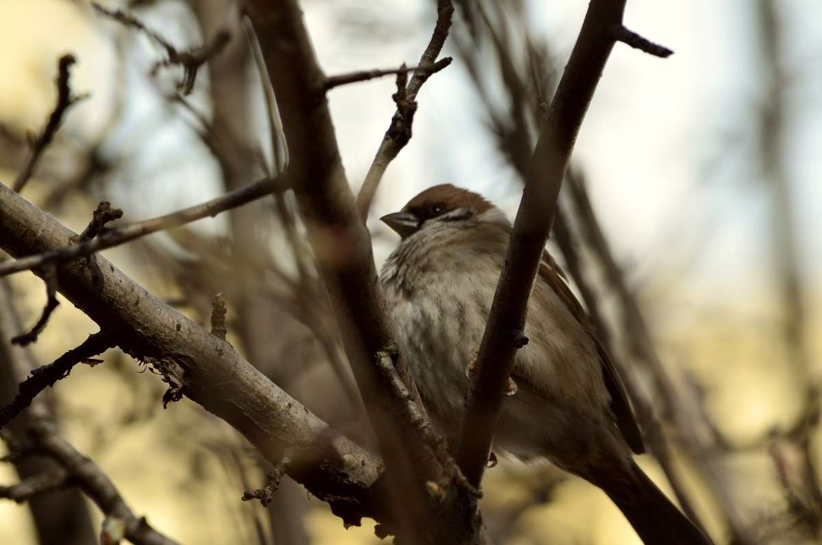 ... ����� ����� � �� PhotoGeek.ru #�������� ���