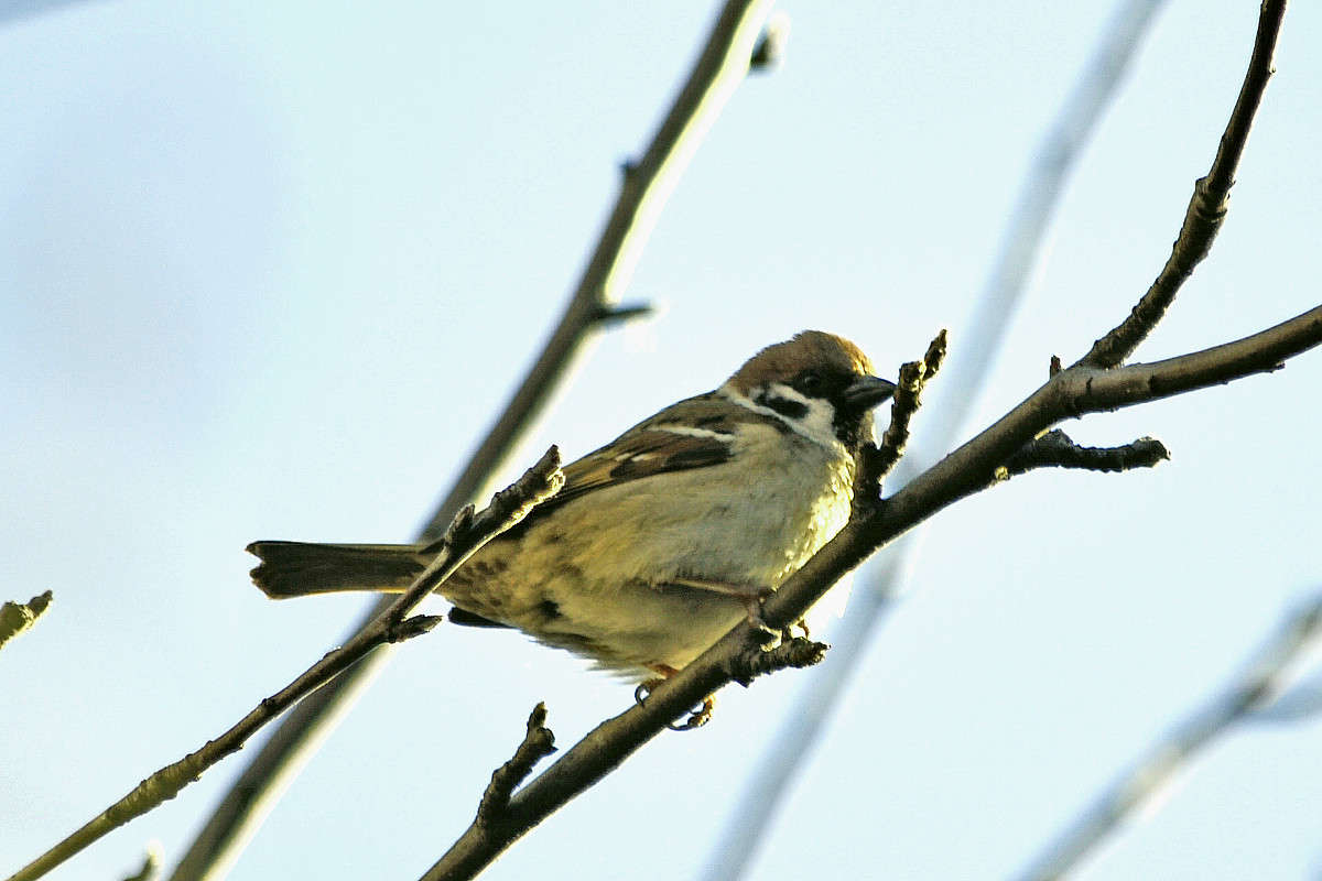 ... ����� ����� � �� PhotoGeek.ru #�������� ���