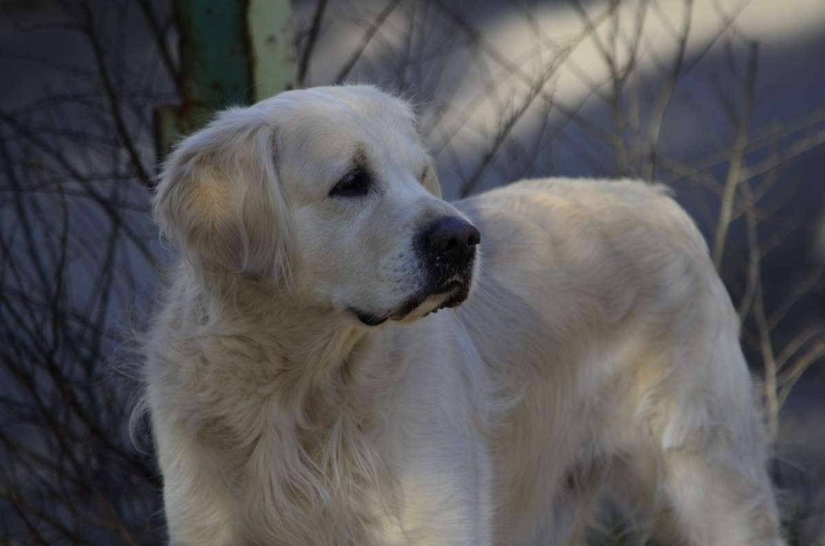 ... ����� ����� � �� PhotoGeek.ru #�������� ���