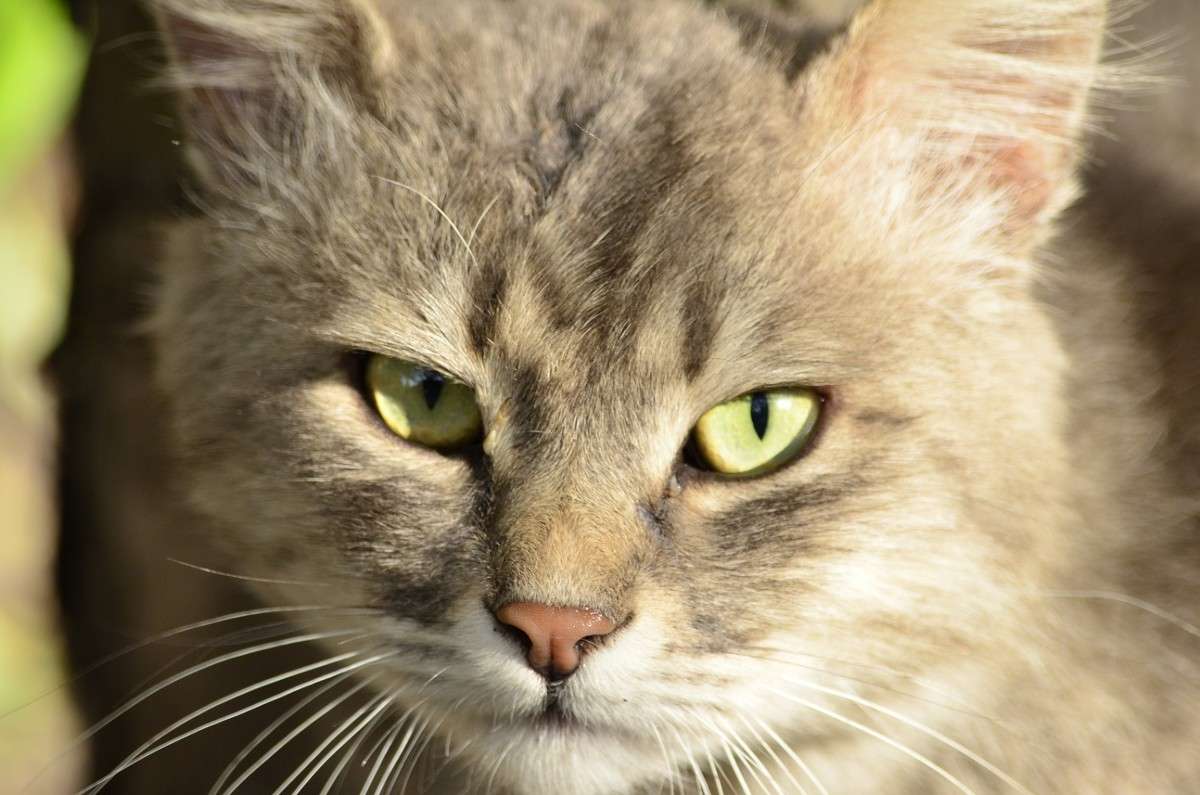 ... ����� ����� � �� PhotoGeek.ru #�������� ���