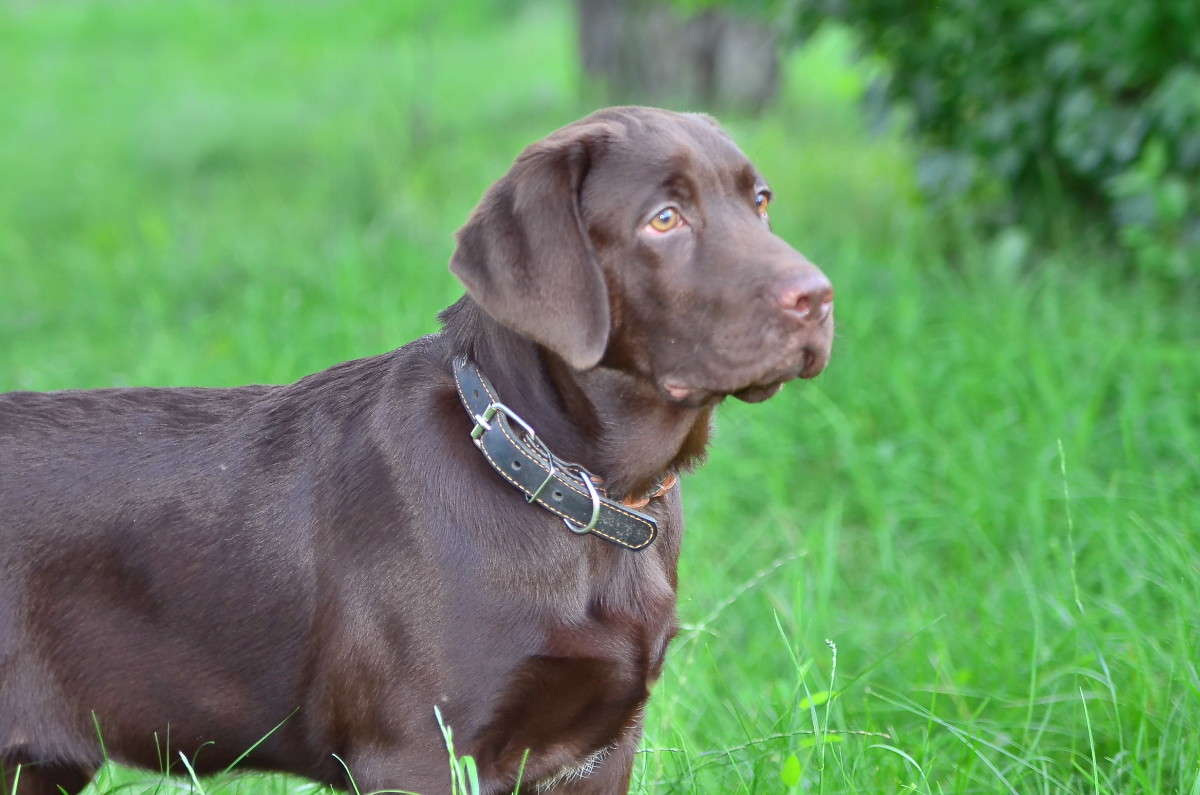 ����� ����� ����� � �� PhotoGeek.ru #�������� ���