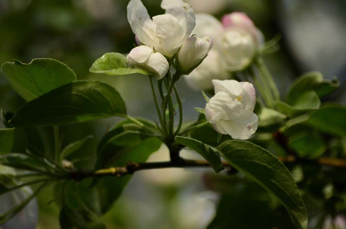 ... ����� ����� � �� PhotoGeek.ru #������ ��� �������