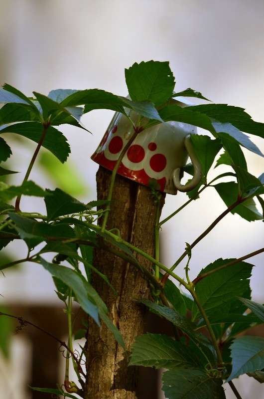 ... ����� ����� � �� PhotoGeek.ru #������ ��� �������