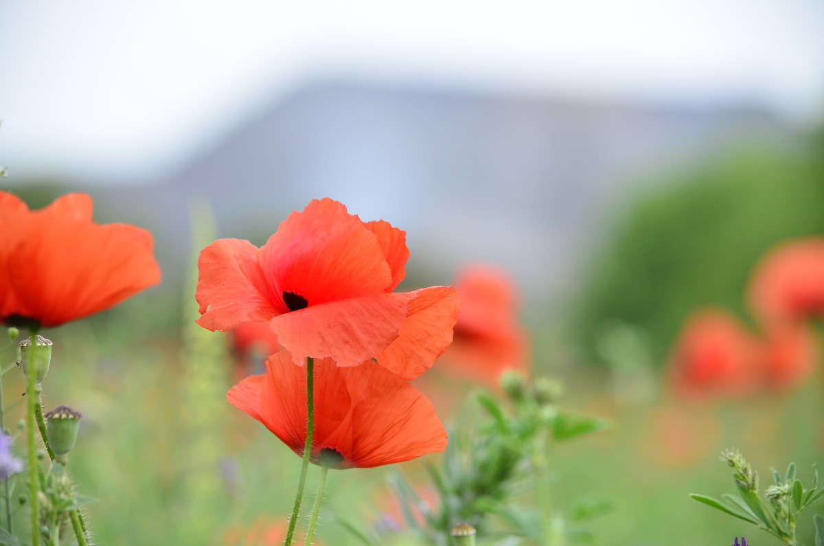 ������� ����� ����� � �� PhotoGeek.ru #������ ��� �������