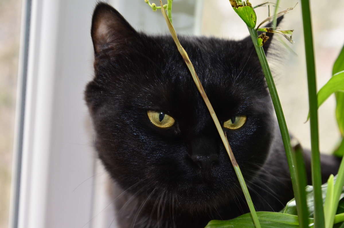 ���� ����� ����� � �� PhotoGeek.ru #�������� ���