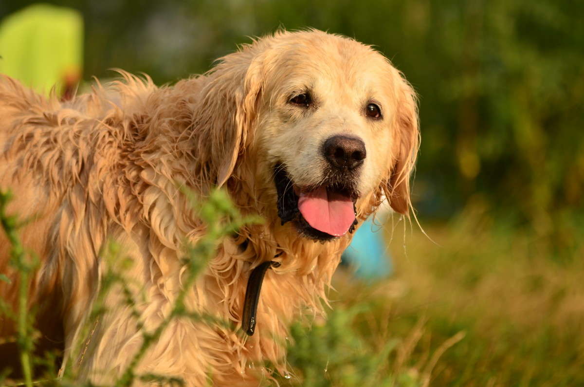 ����� �������� ... ����� ����� � �� PhotoGeek.ru #�������� ���