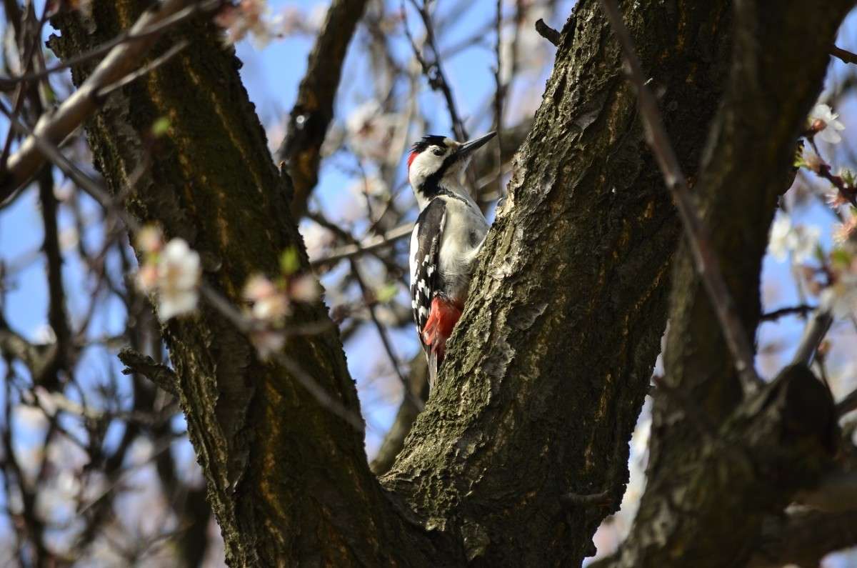 ... ����� ����� � �� PhotoGeek.ru #�������� ���