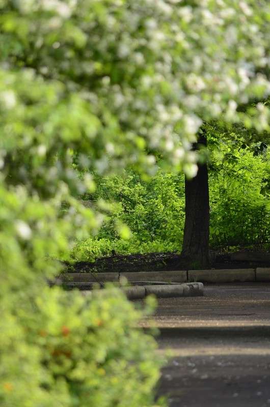 ... ����� ����� � �� PhotoGeek.ru #������ ��� �������