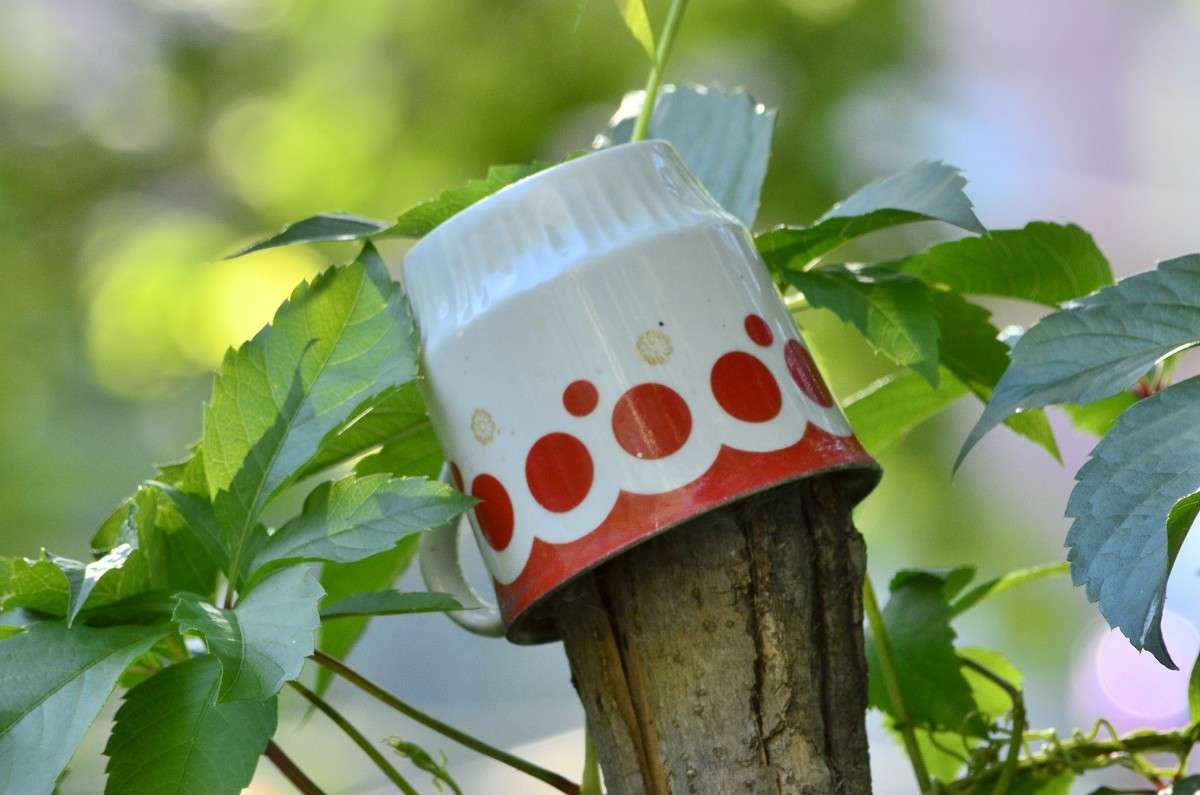 ... ����� ����� � �� PhotoGeek.ru #������ ��� �������