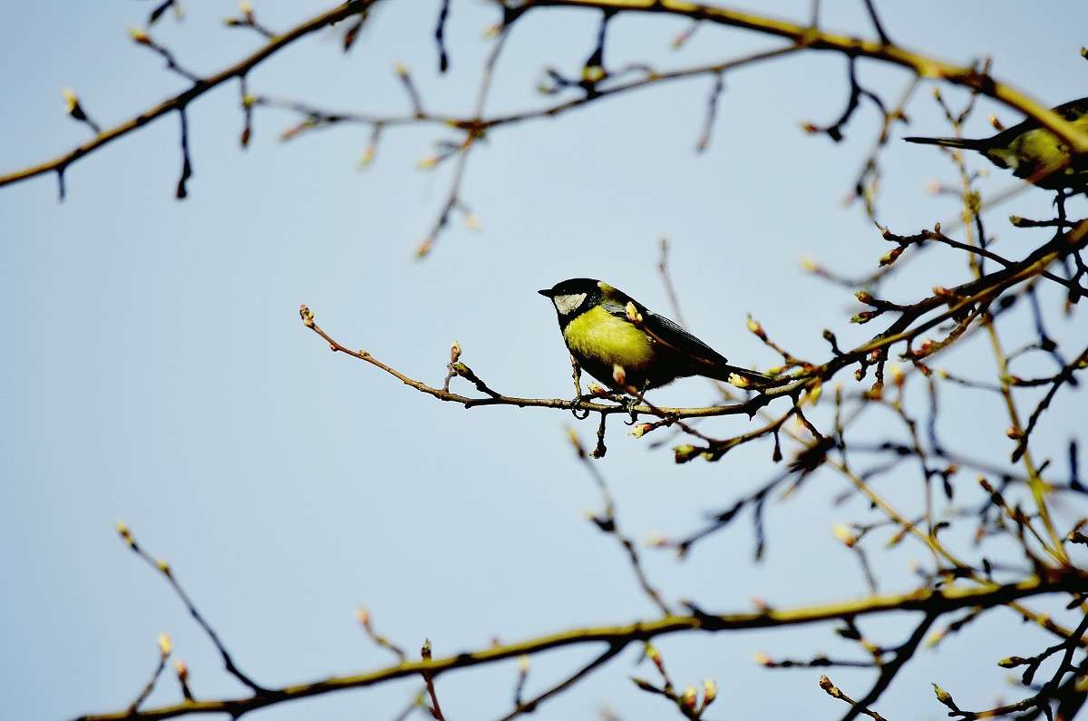 ... ����� ����� � �� PhotoGeek.ru #������ ��� �������