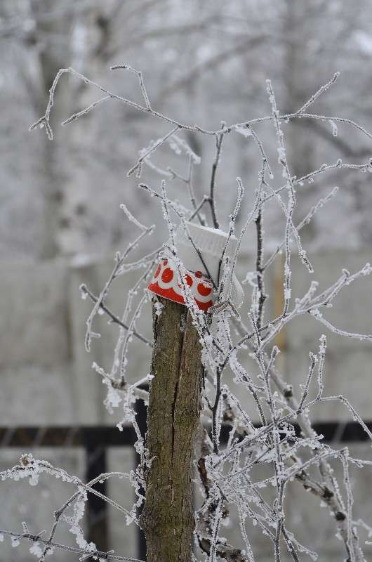 ... ����� ����� � �� PhotoGeek.ru #������ ��� ������� #������