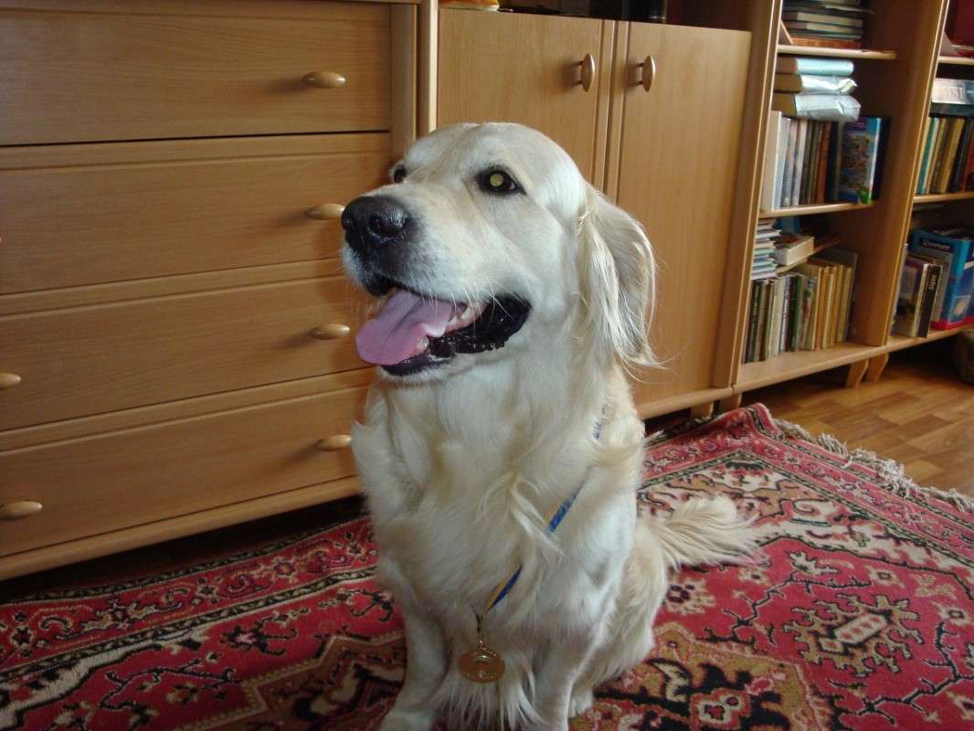 "��������" ����� ����� � �� PhotoGeek.ru #�������� ���