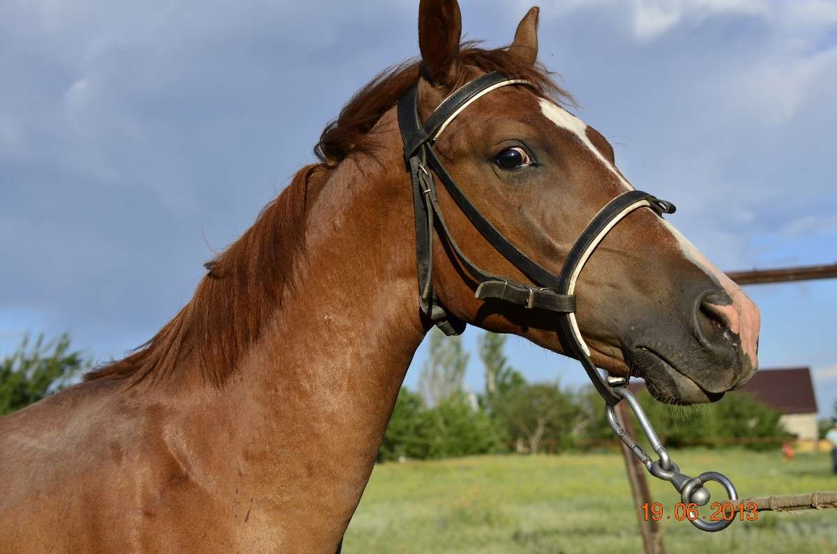 ... ����� ����� � �� PhotoGeek.ru #�������� ���