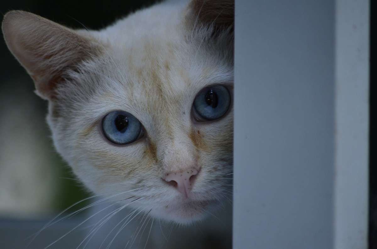 ... ����� ����� � �� PhotoGeek.ru #�������� ���