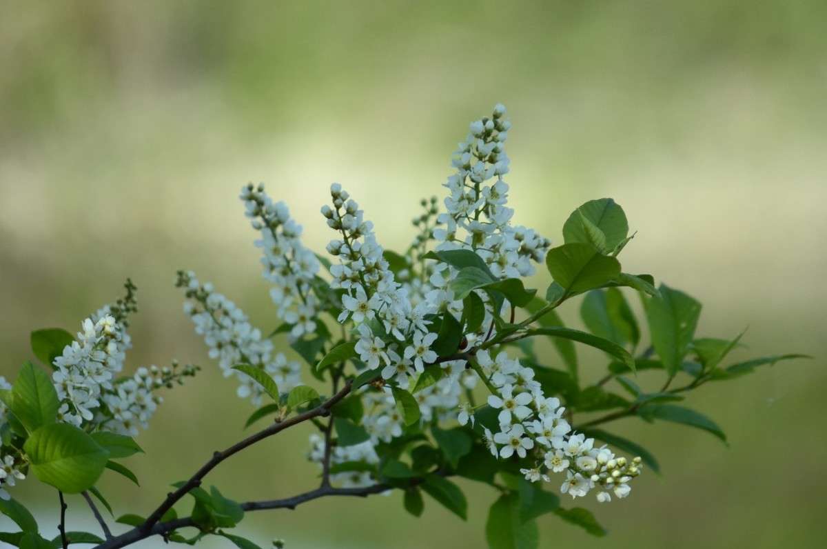 ... ����� ����� � �� PhotoGeek.ru #������ ��� ������� #����� ��������������