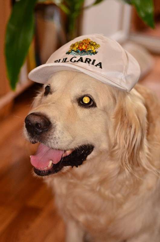 ������ �� �������� ����� ����� � �� PhotoGeek.ru #�������� ���