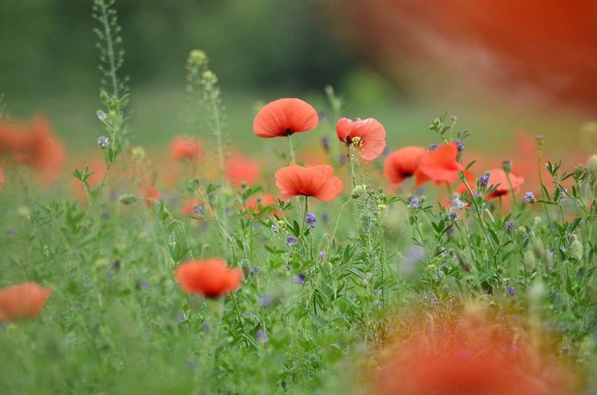 ... ����� ����� � �� PhotoGeek.ru #������ ��� ������� #����� ��������������