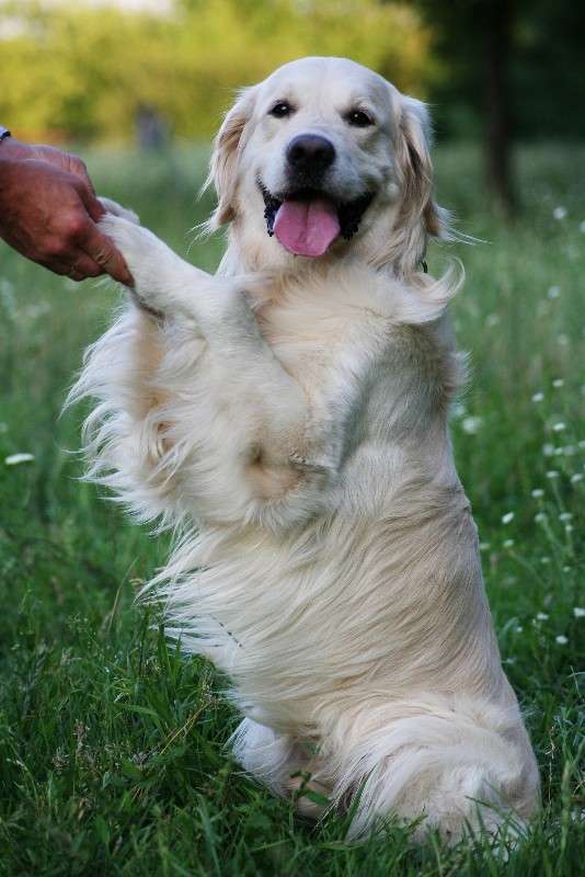 ����� ����� ����� � �� PhotoGeek.ru #�������� ���