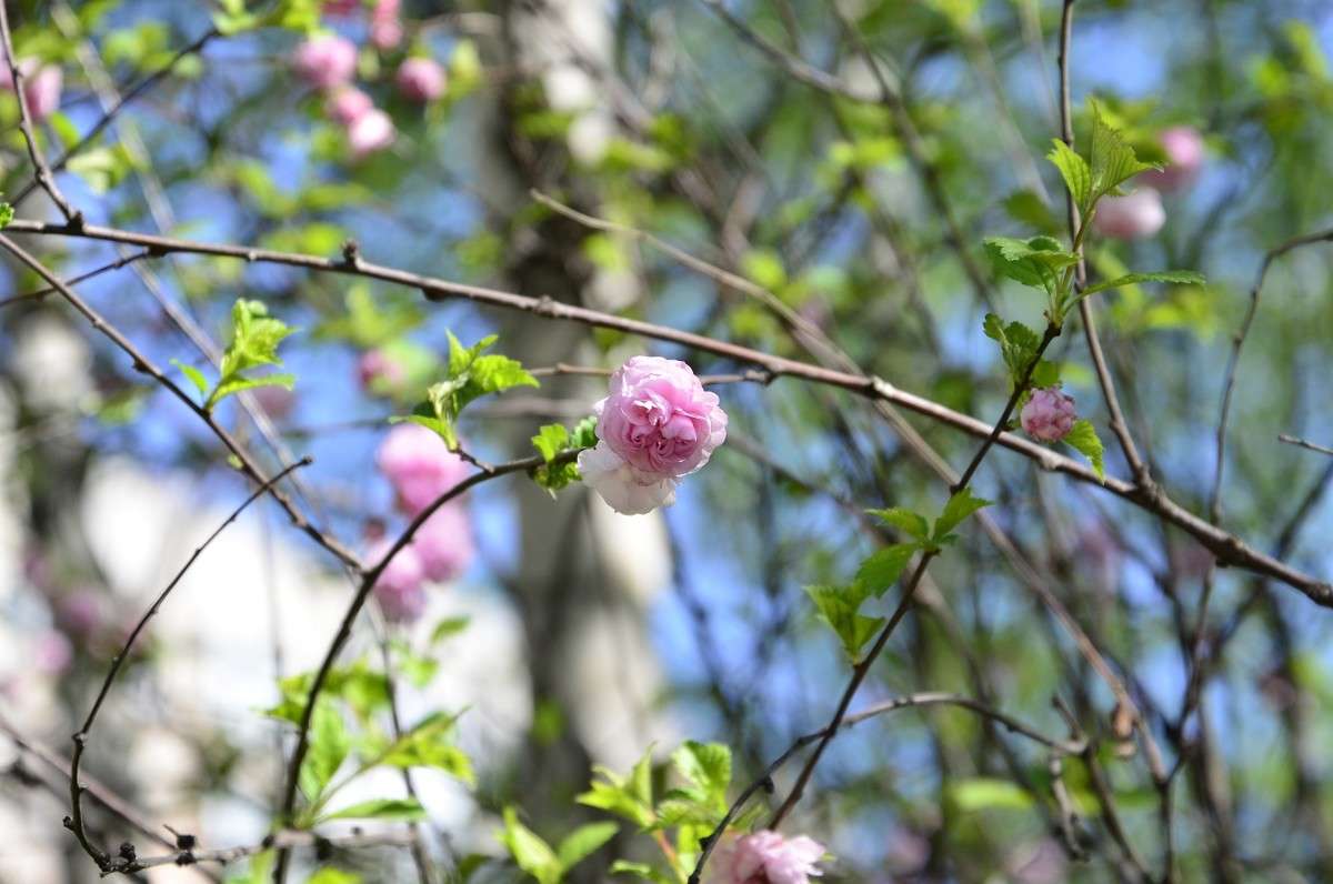 ... ����� ����� � �� PhotoGeek.ru #������ ��� �������