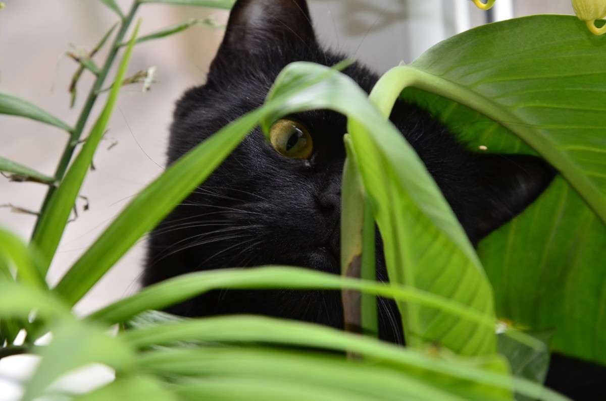 ���� ����� ����� � �� PhotoGeek.ru #�������� ���