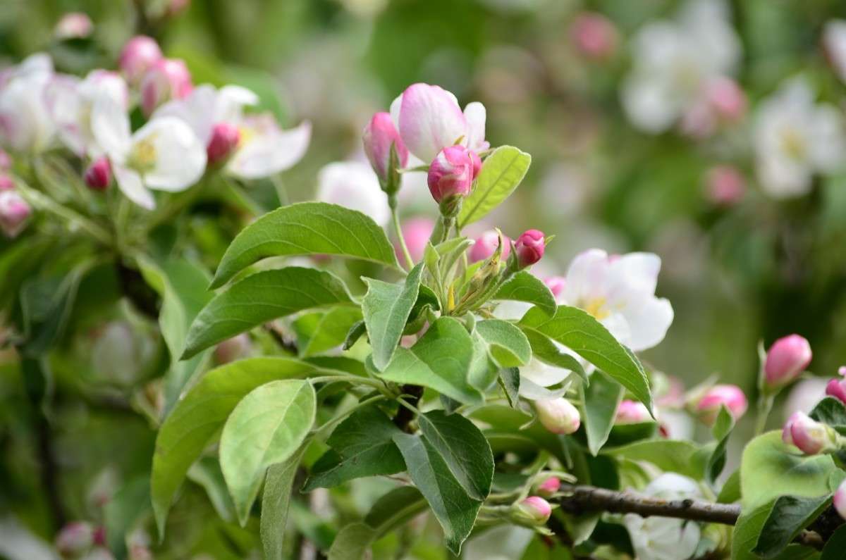 ... ����� ����� � �� PhotoGeek.ru #������ ��� �������