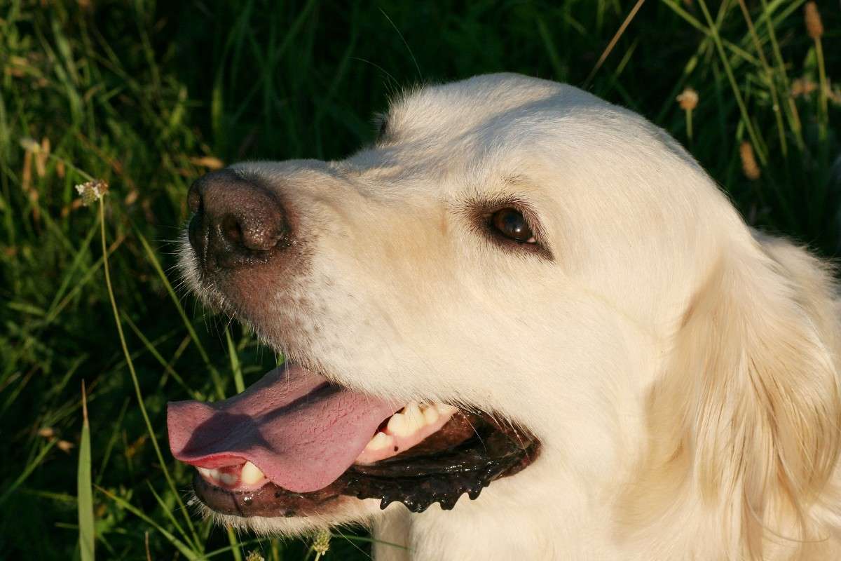 ����� ����� ����� � �� PhotoGeek.ru #�������� ���