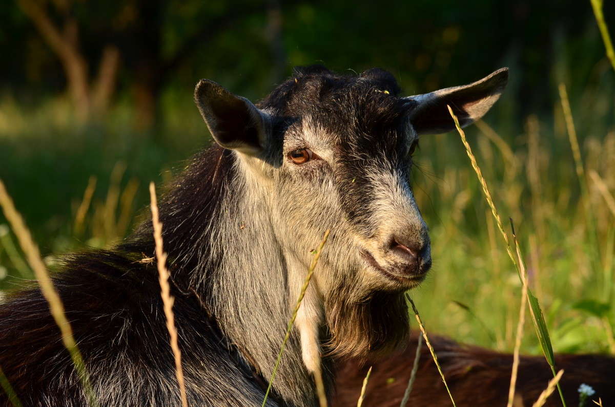 ... ����� ����� � �� PhotoGeek.ru #�������� ���