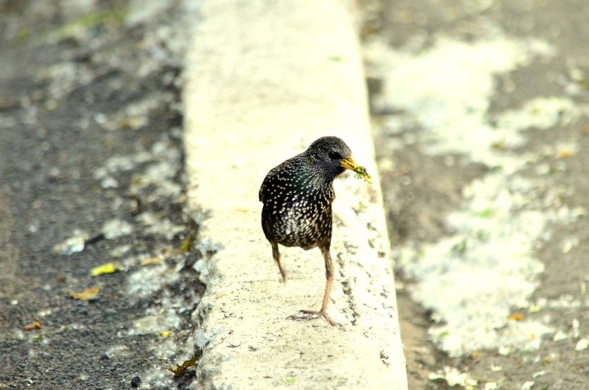 ... ����� ����� � �� PhotoGeek.ru #�������� ���