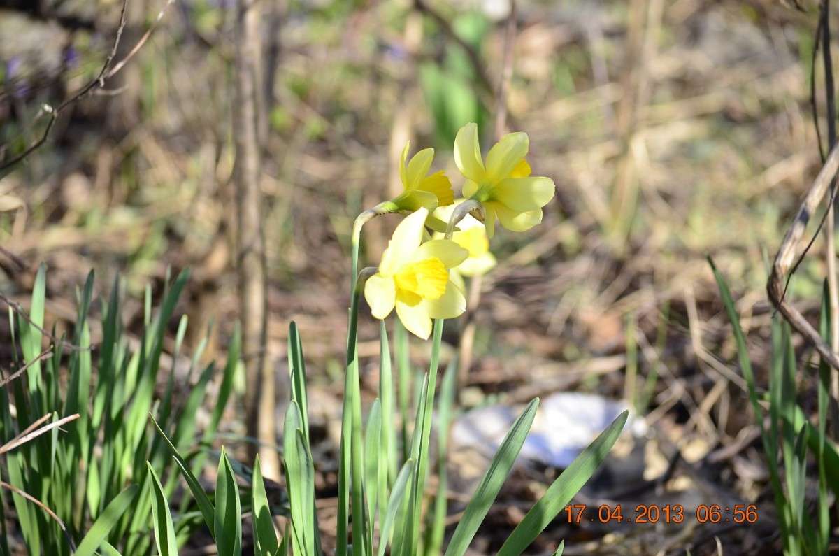 ... ����� ����� � �� PhotoGeek.ru #������ ��� �������