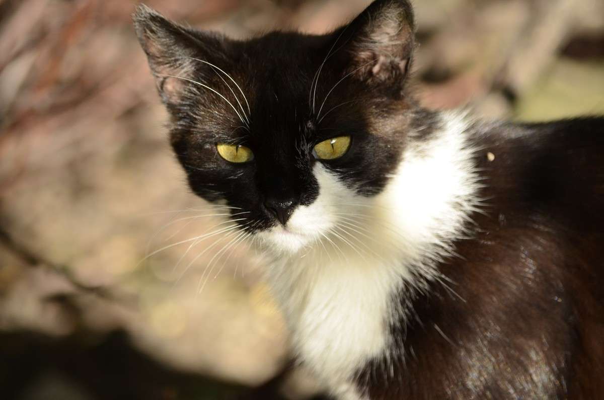 ... ����� ����� � �� PhotoGeek.ru #�������� ���