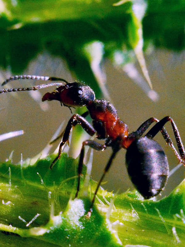 ... ����� ����� � �� PhotoGeek.ru #�����