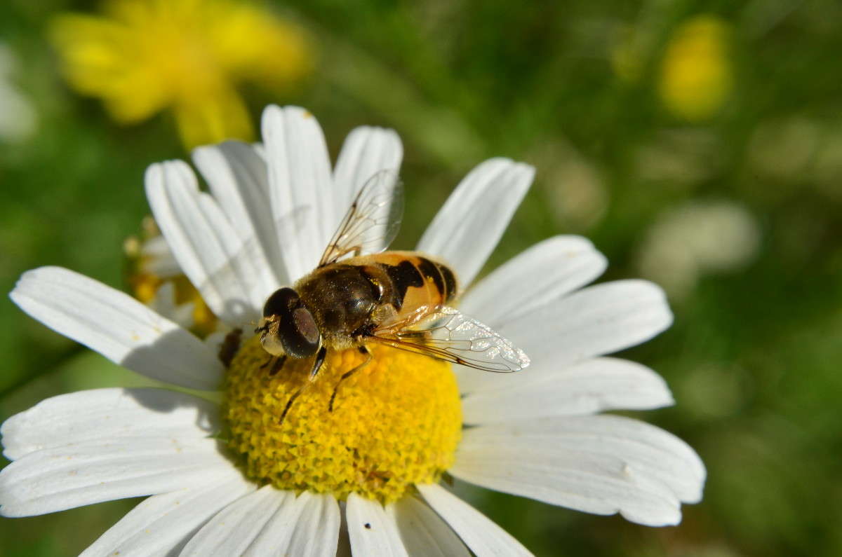 ... ����� ����� � �� PhotoGeek.ru #�����