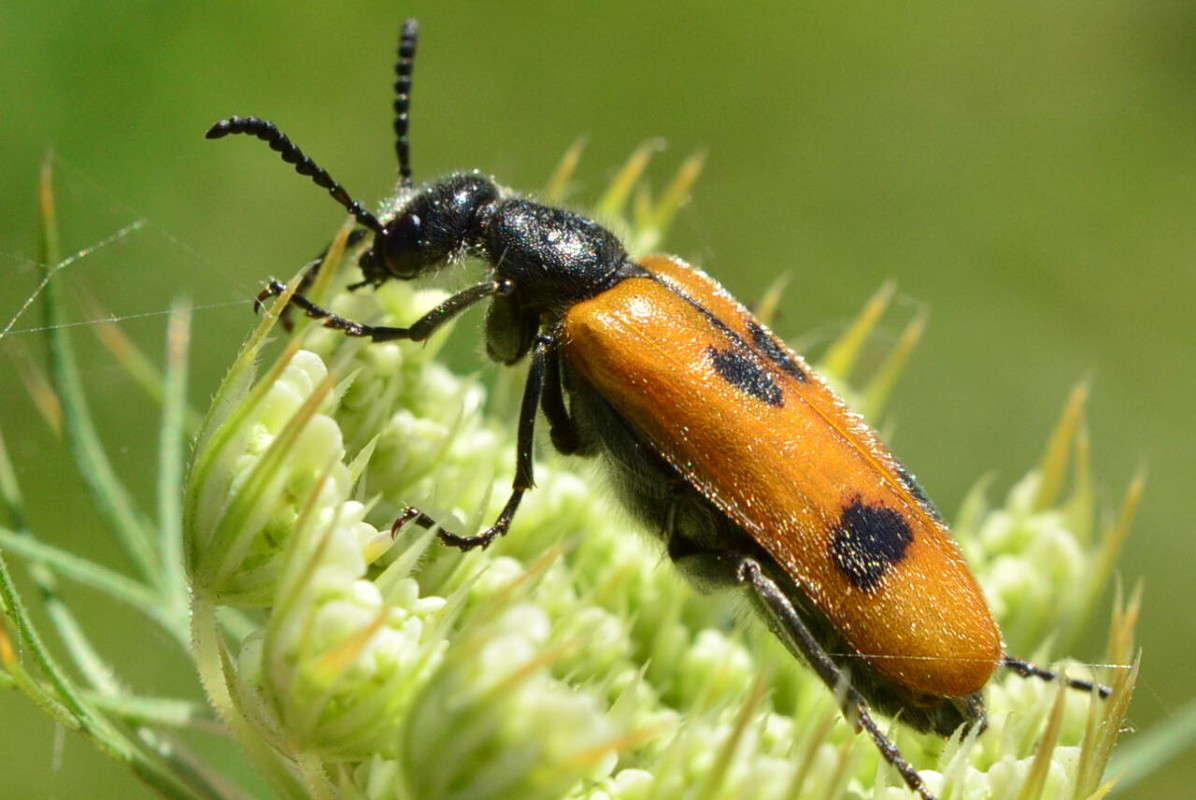 ... ����� ����� � �� PhotoGeek.ru #�����