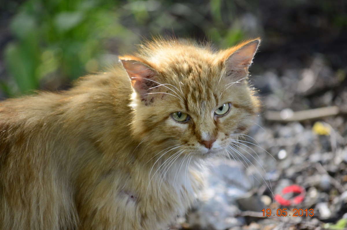 ... ����� ����� � �� PhotoGeek.ru #�������� ���