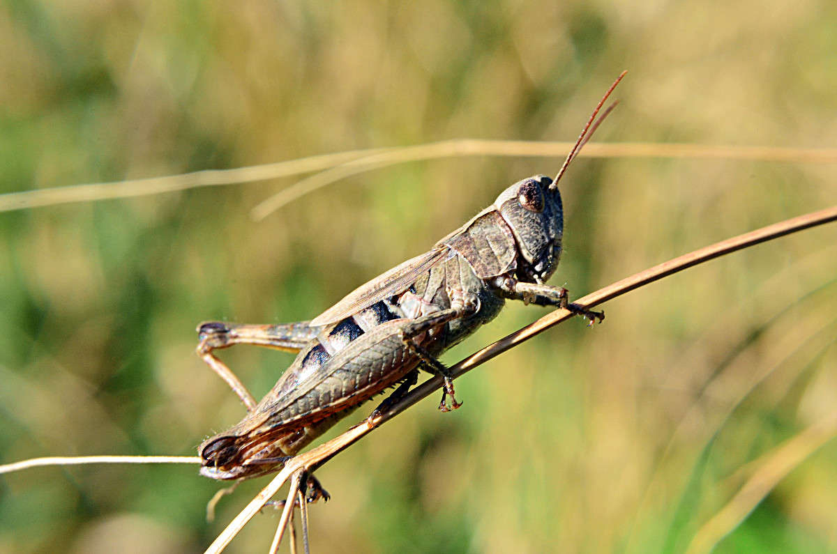 ... ����� ����� � �� PhotoGeek.ru #�������� ���