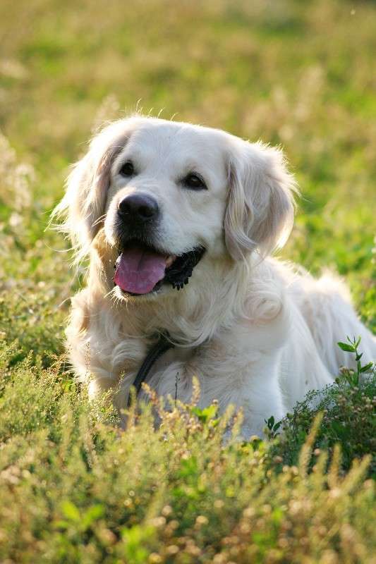 ... ����� ����� � �� PhotoGeek.ru #�������� ���