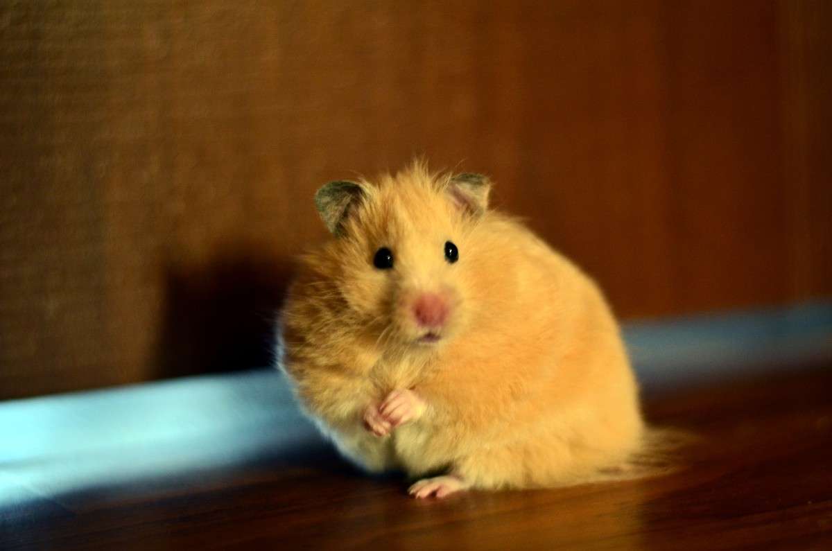 ������� ����� ����� � �� PhotoGeek.ru #�������� ���