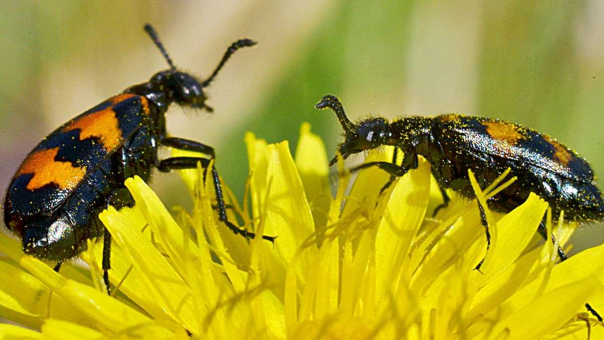 ... ����� ����� � �� PhotoGeek.ru #�����