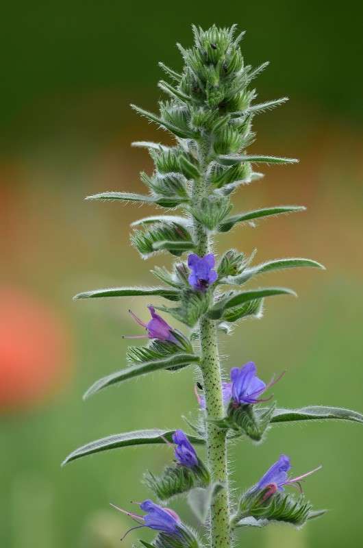 ... ����� ����� � �� PhotoGeek.ru #������ ��� �������